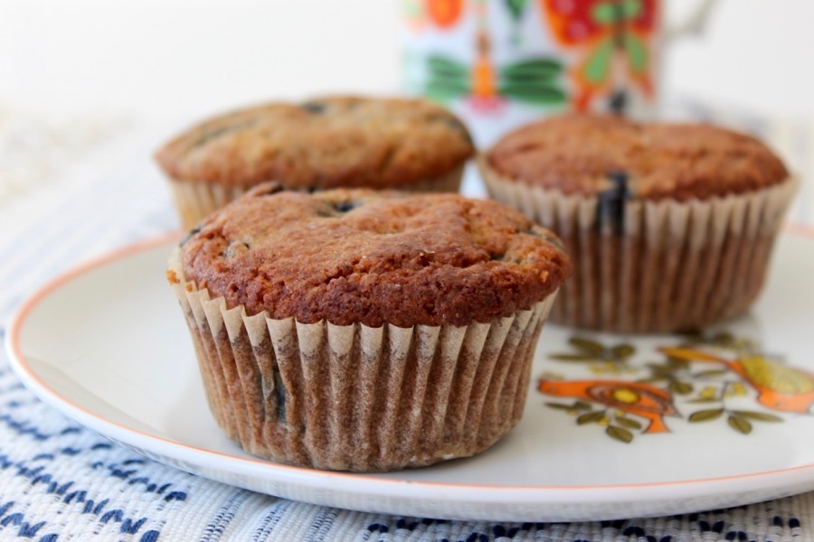 Best Gluten-Free Blueberry Muffin Recipe