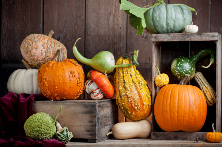 Your Ultimate Guide to Winter Squash