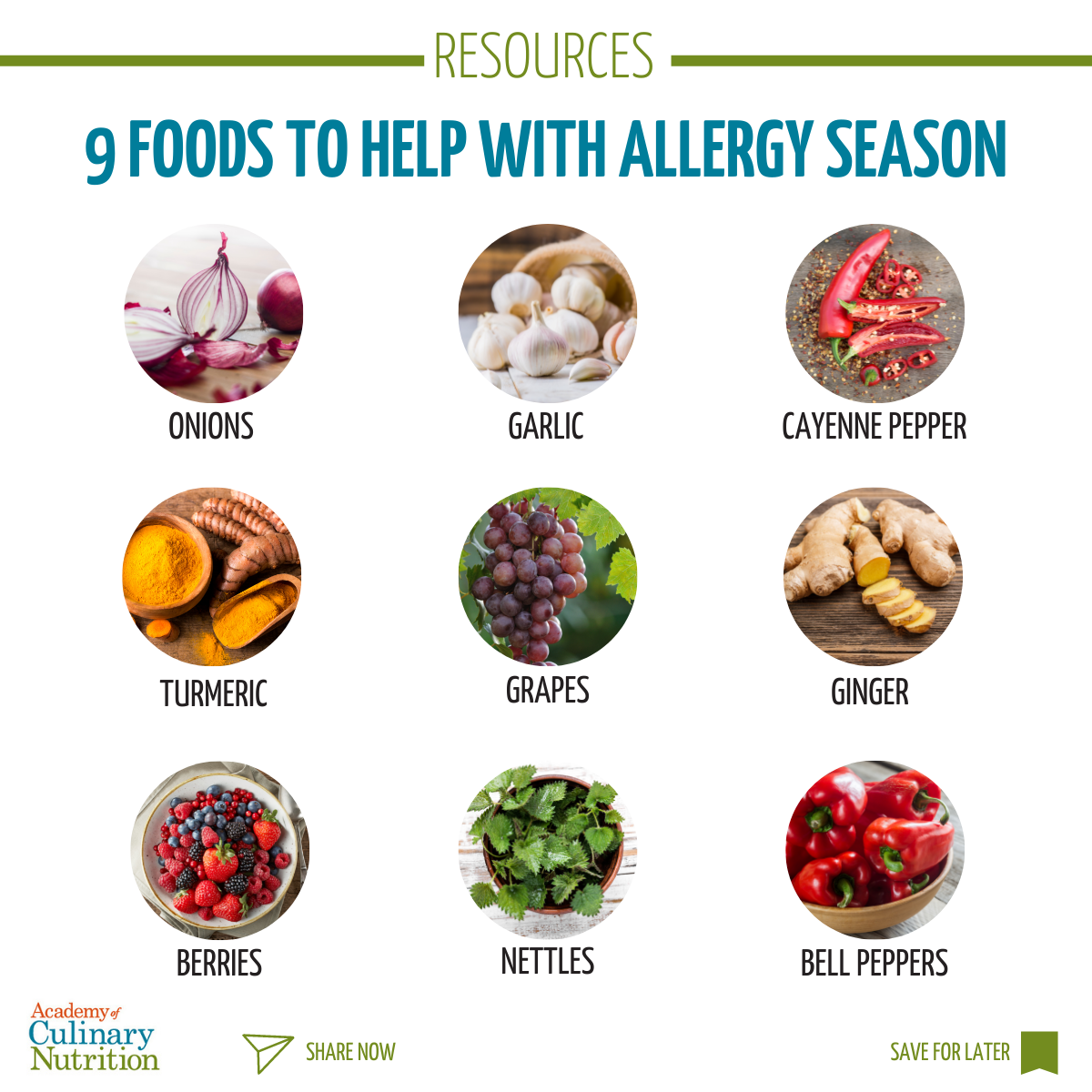 Best foods for allergy season infographic