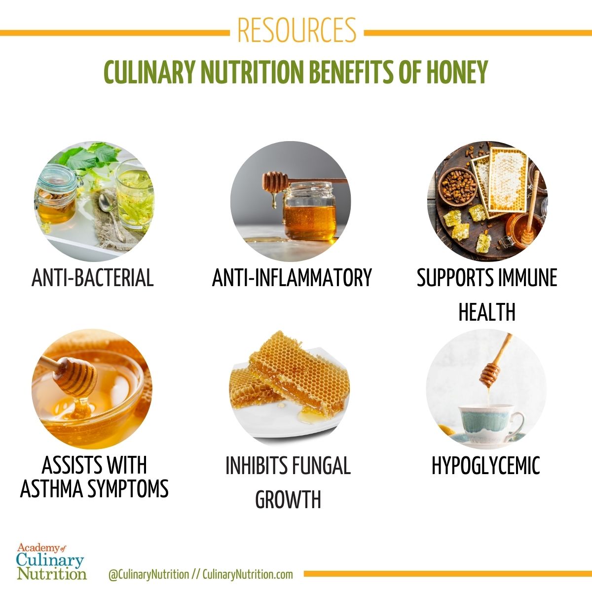 Guide to Honey