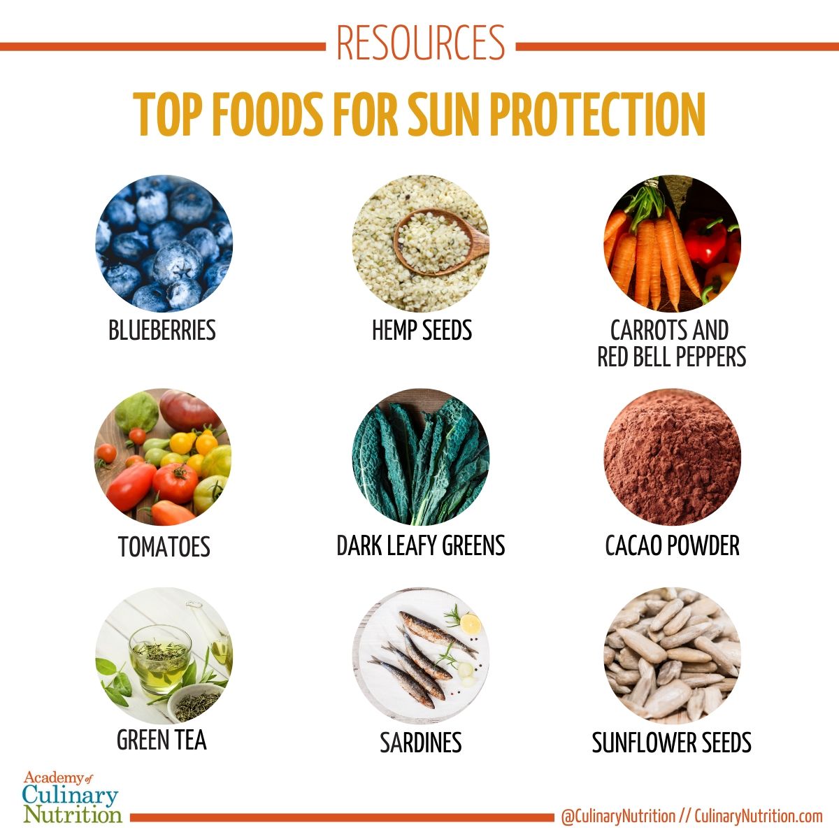 Top Foods for Sun Protection