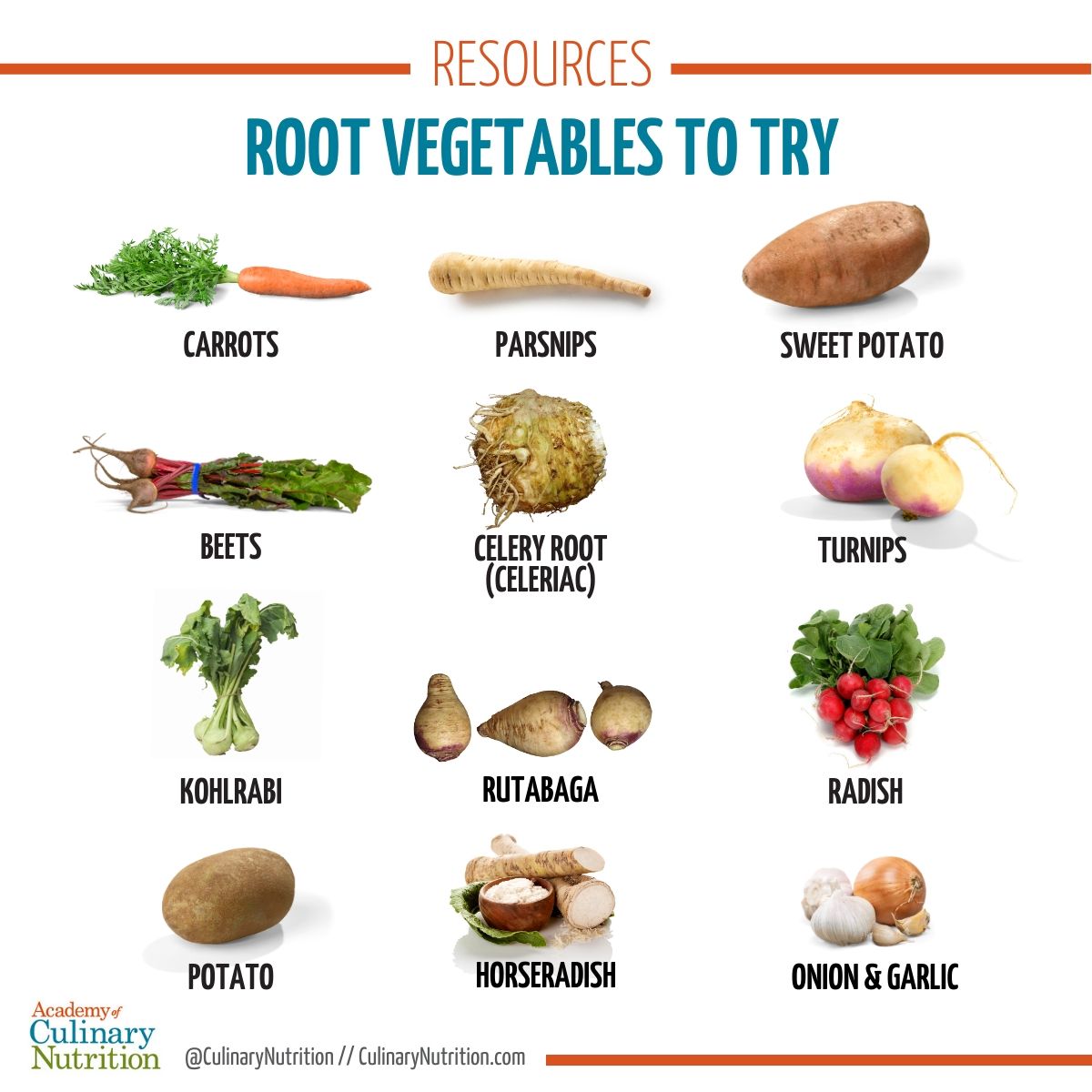 Guide to Root Vegetables