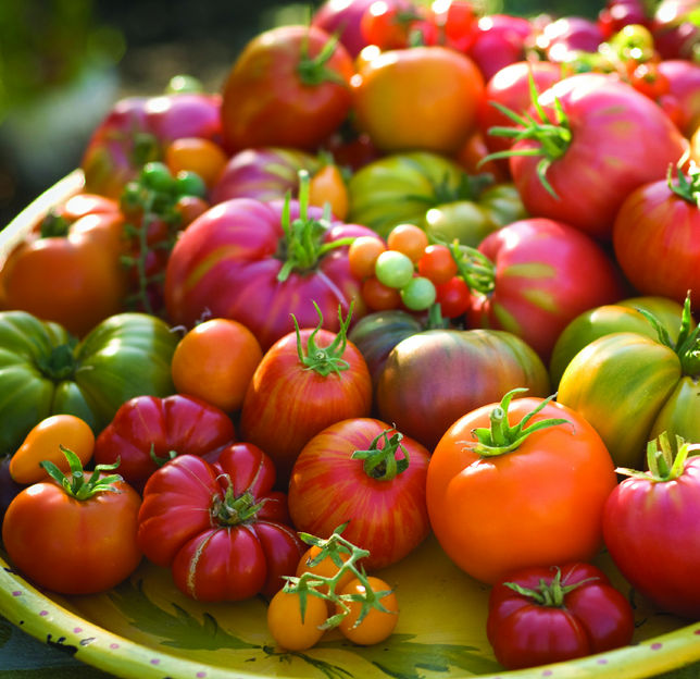 Tomatoes and Lycopene